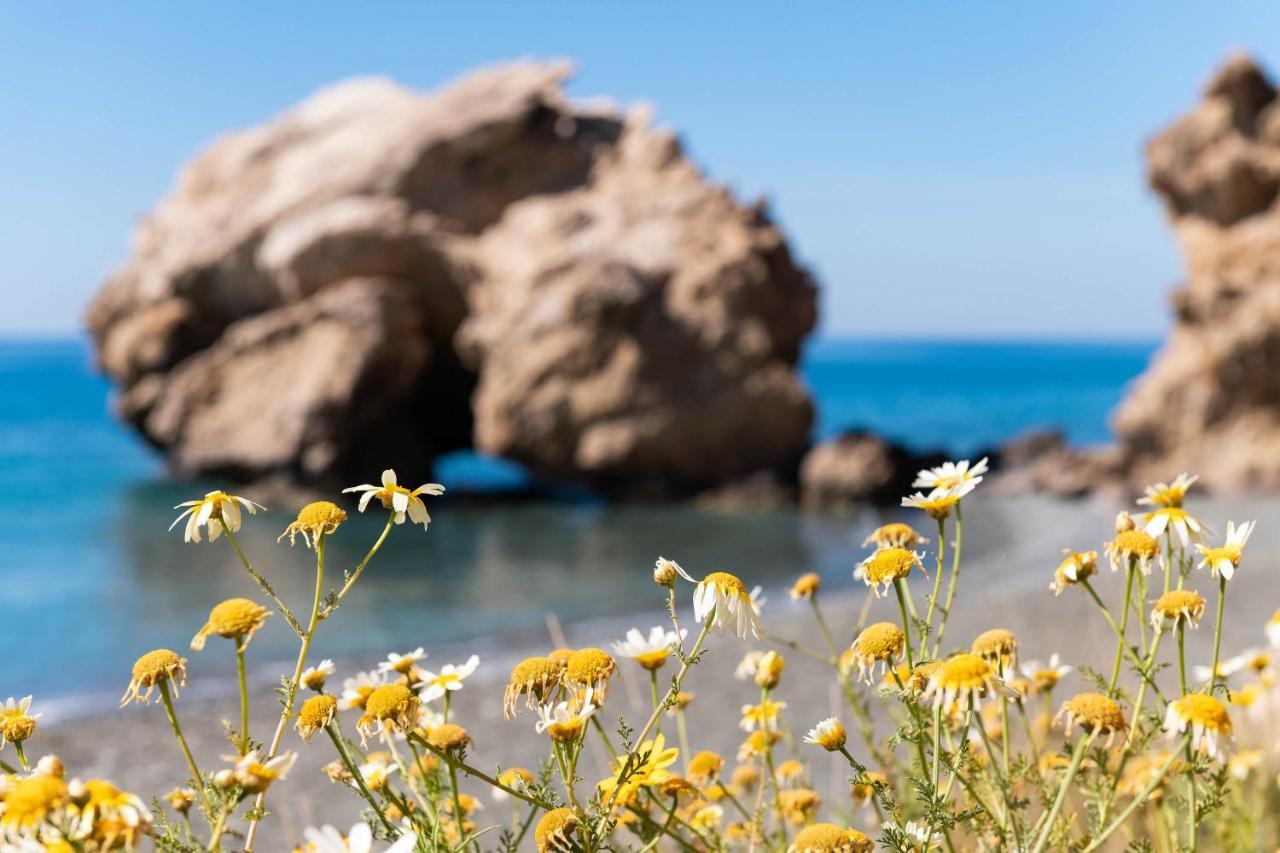 Myrtos Sarakinas Residences מראה חיצוני תמונה