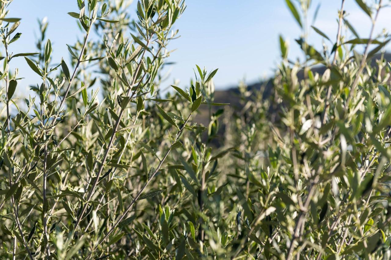 Myrtos Sarakinas Residences מראה חיצוני תמונה
